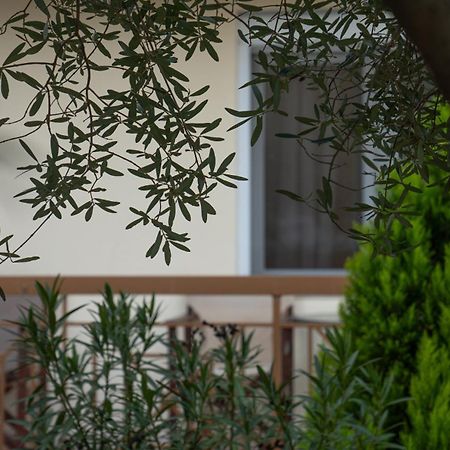 Guesthouse Adonis Káto Loutrákion المظهر الخارجي الصورة