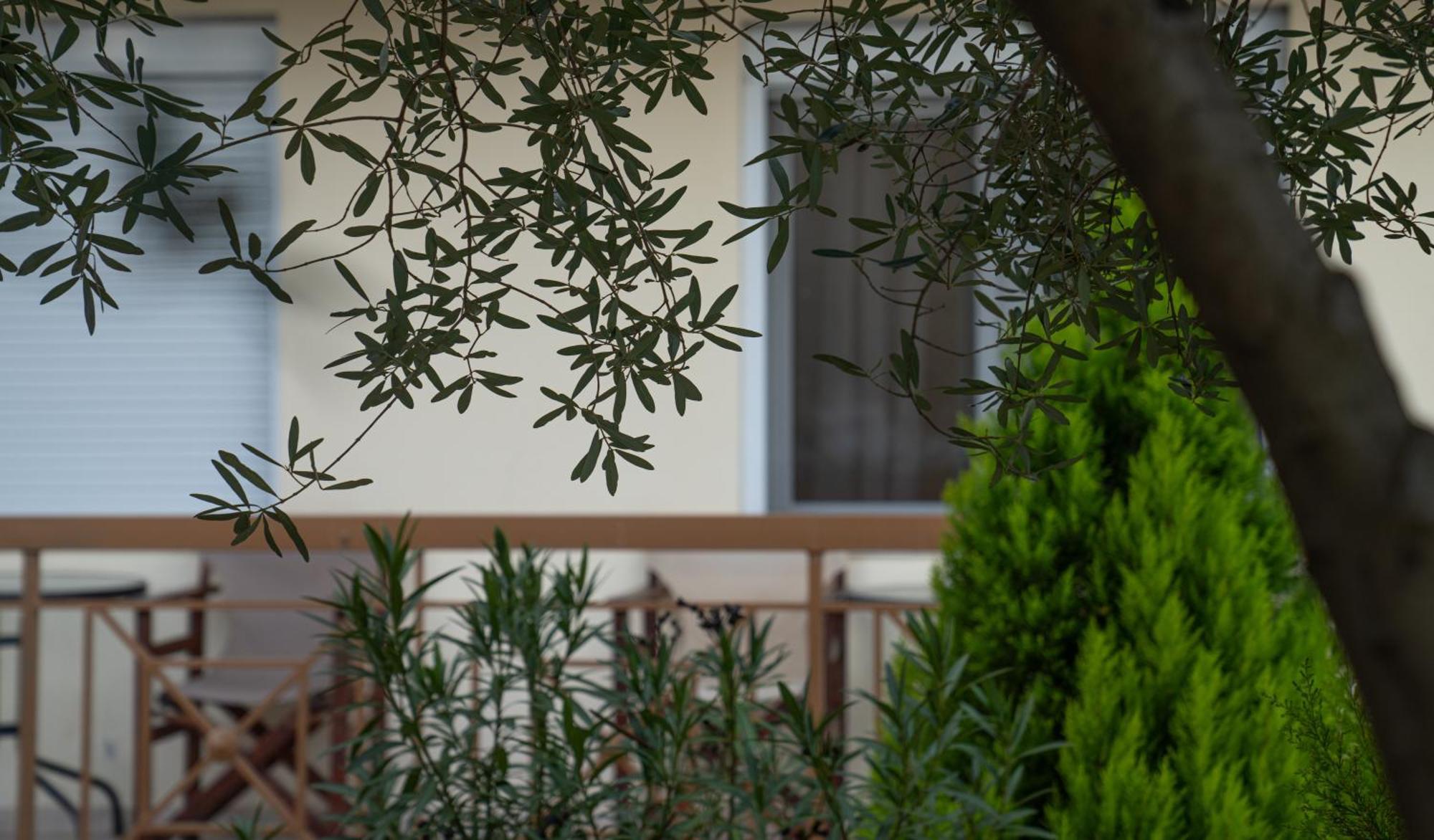 Guesthouse Adonis Káto Loutrákion المظهر الخارجي الصورة