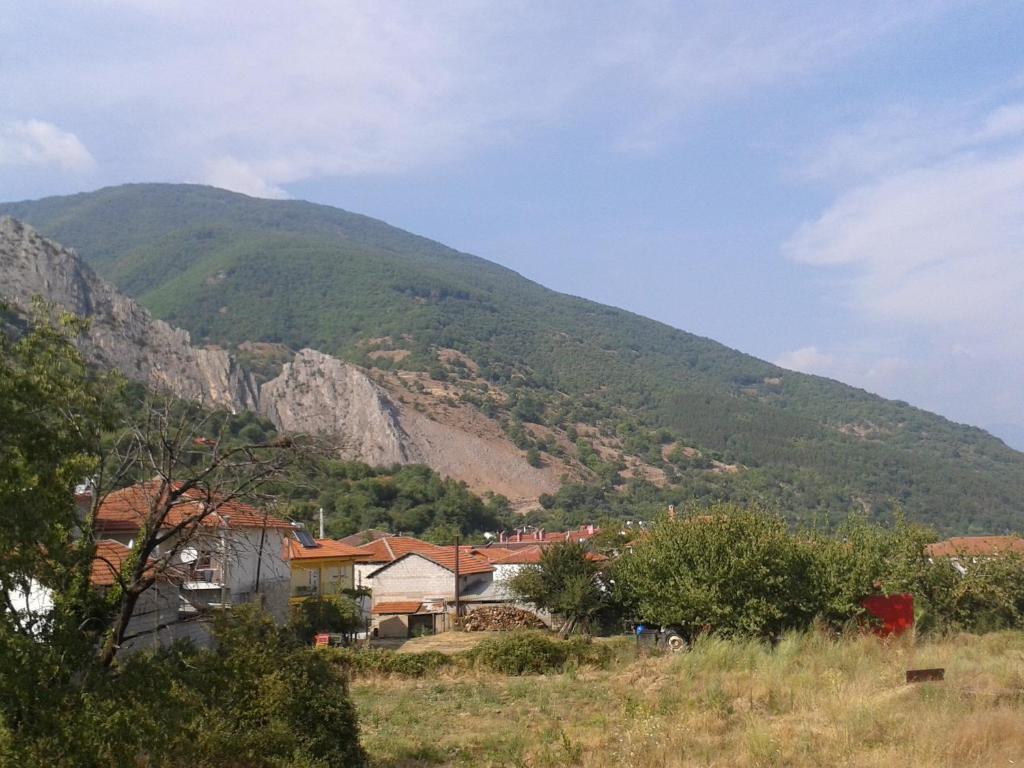 Guesthouse Adonis Káto Loutrákion المظهر الخارجي الصورة