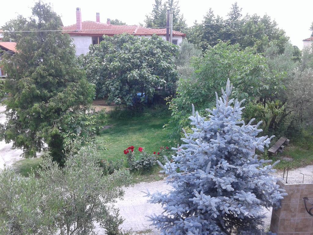 Guesthouse Adonis Káto Loutrákion المظهر الخارجي الصورة