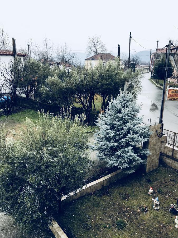 Guesthouse Adonis Káto Loutrákion المظهر الخارجي الصورة
